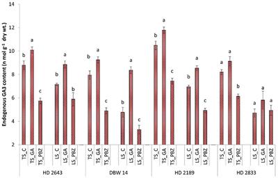 Understanding the Role of Gibberellic Acid and Paclobutrazol in Terminal Heat Stress Tolerance in Wheat